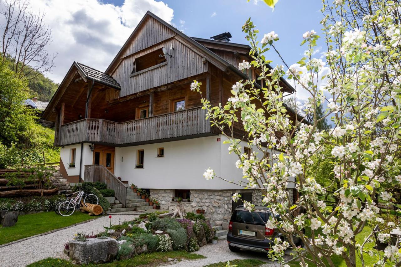 Apartments Mlin Bohinj Exterior foto